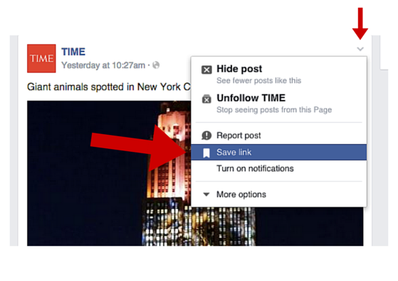 Screenshot showing Save Link Feature